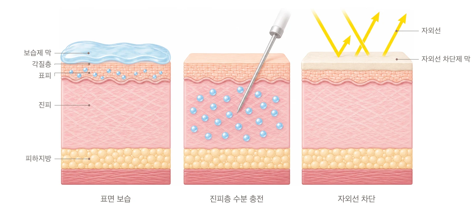 바르는 보습제는 각질층까지, 스킨부스터는 진피층까지 수분을 채우고 자외선 차단제는 자외선을 막아 주는 세 가지 장벽 관리 비교 피부 단면 도해
