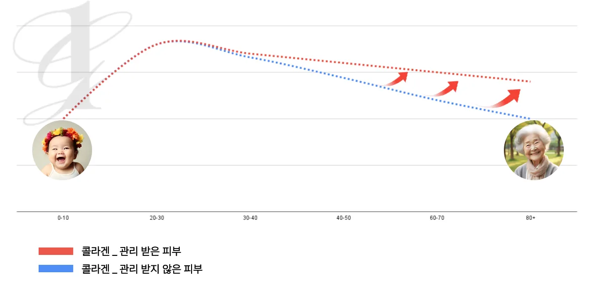 관리 받은 피부와 관리 받지 않은 피부의 콜라겐 변화 비교 그래프 — 꾸준한 관리로 콜라겐 감소 곡선이 완만하게 유지되는 모습