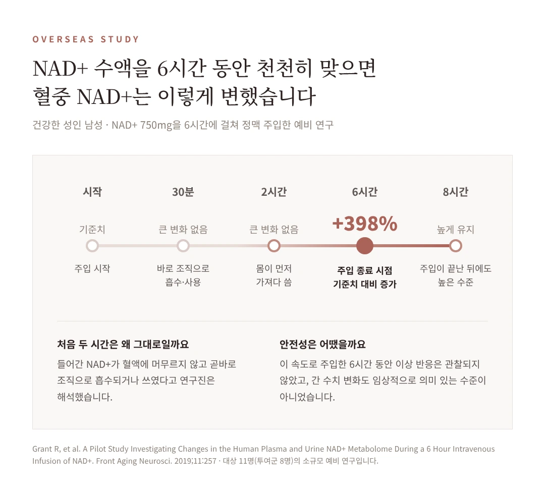 NAD+ 750mg을 6시간 동안 정맥 주입했을 때 처음 2시간은 혈중 변화가 거의 없다가 6시간째 기준치 대비 398% 증가하고 8시간까지 높게 유지된 연구 결과 타임라인